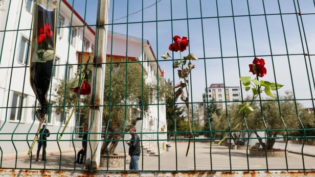 Rote Rosen stecken in einem grünen Zaun vor einem Gebäude.