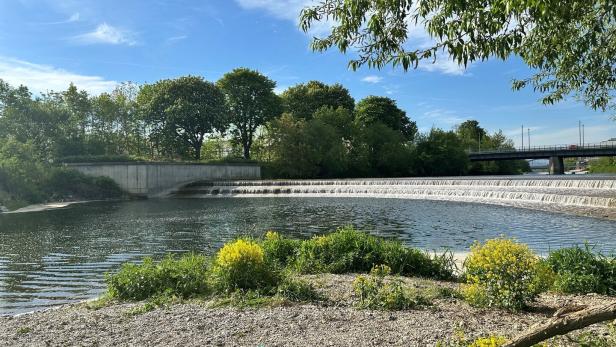 Ein Fluss mit kleinem Wasserfall, umgeben von Bäumen, Sträuchern und einer Brücke im Hintergrund bei sonnigem Wetter.