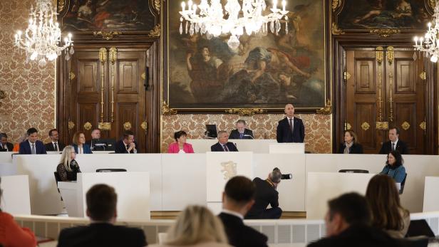 Ein Mann hält eine Rede vor einem Publikum in einem reich verzierten Saal mit Gemälden.