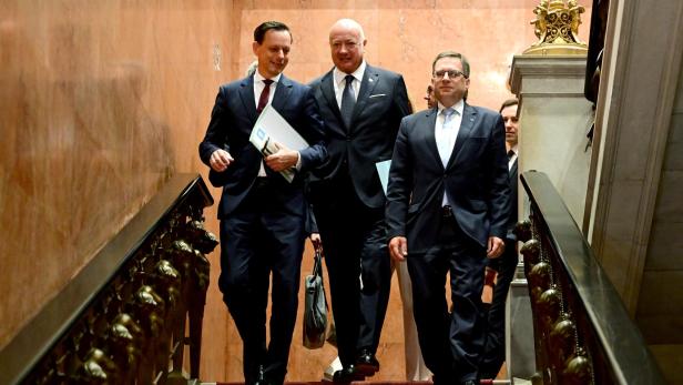 Goedl und ÖVP