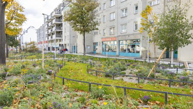 Eröffnung Straßenpark Wagramerstraße mit Stadträtin Ulli Sima und Bezirksvorsteher Ernst Nevrivy.
