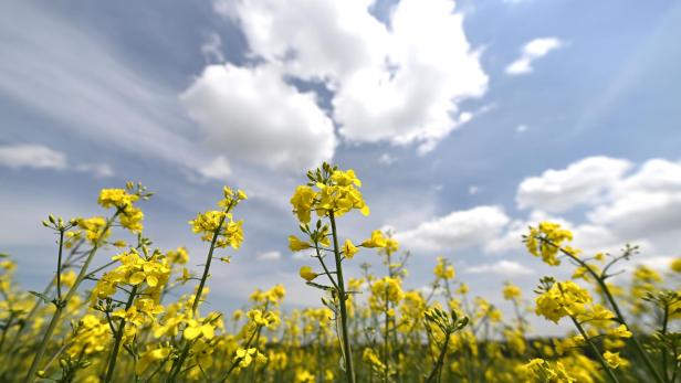 Wetter in Österreich: Warm, aber Gewitterfront im Anmarsch
