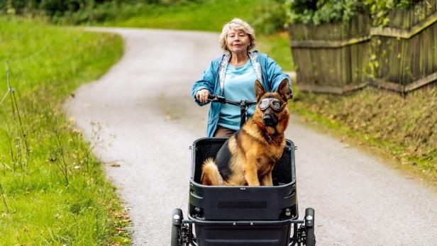 Eine ältere Frau fährt ein Lastenrad auf einem Weg, vorne sitzt ein Schäferhund mit Schutzbrille.