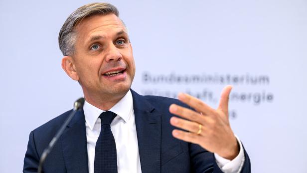 PK WIRTSCHAFTSMINISTERIUM "ERNEUERBAREN-AUSBAU-BESCHLEUNIGUNGSGESETZ (EABG)": HATTMANNSDORFER (ÖVP)