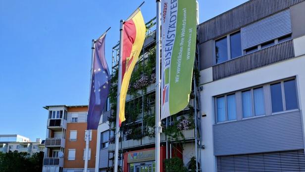Neue Eisenstädter