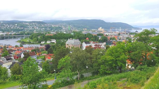 Eine Stadtansicht mit Häusern, Bäumen, einem Fluss und Bergen im Hintergrund unter bewölktem Himmel.
