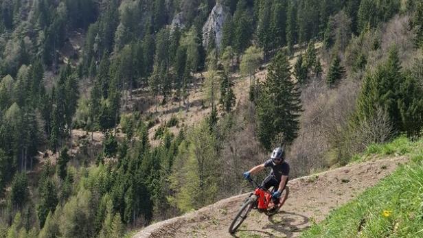Alpen Bikepark Schneeberg
