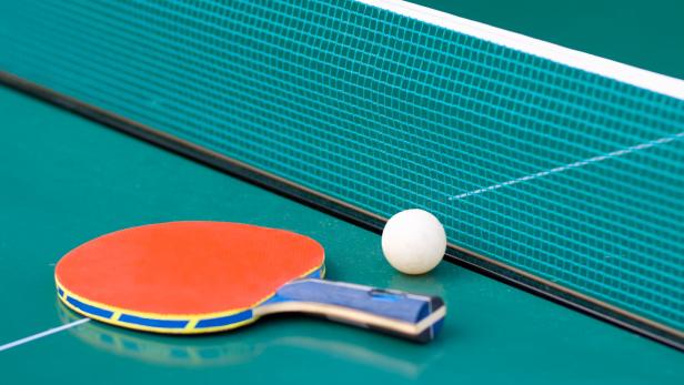 Ping pong paddle and table with net