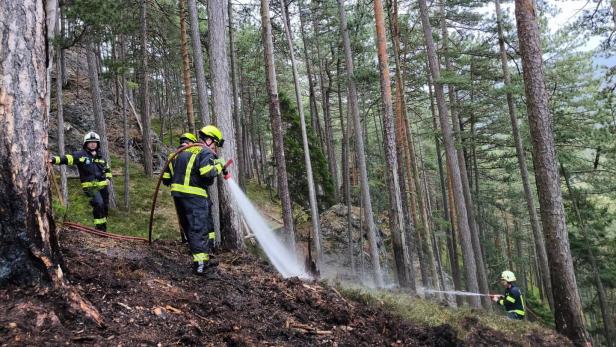 Feuerwehrleute löschen einen Waldbrand