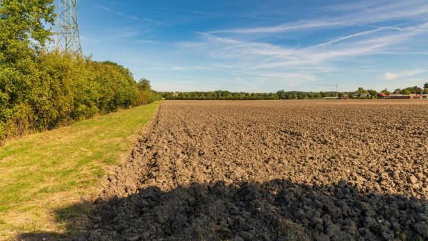 Gepflügtes Feld mit grünen Bäumen und Stromleitung