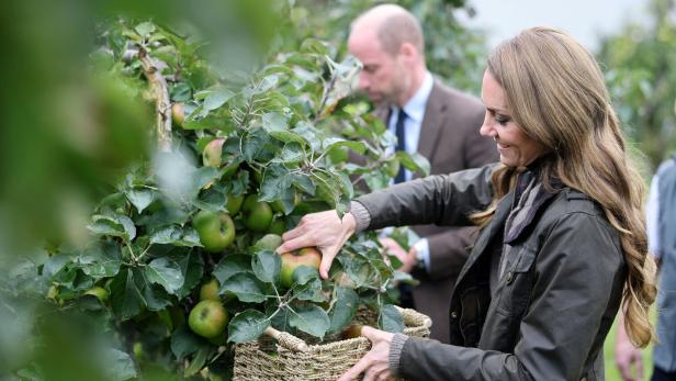 Kate pflückt Äpfel in einen Korb, während William im Hintergrund steht.