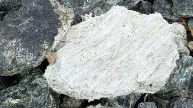 Mehrere dunkle Steine mit einem auffälligen, faserigen, weißen Stein in der Mitte.