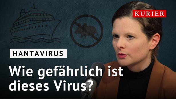Hantavirus-Ausbruch: Wie gefährlich ist das Virus?