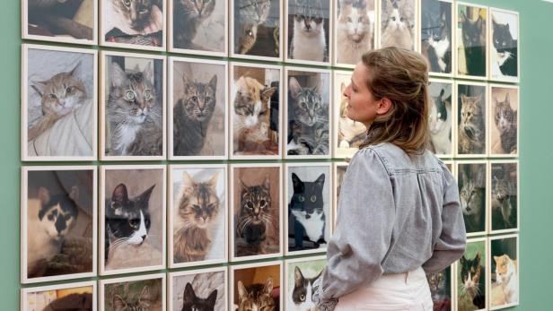 Eine Frau betrachtet eine Wand mit vielen gerahmten Katzenporträts in einer Galerie.