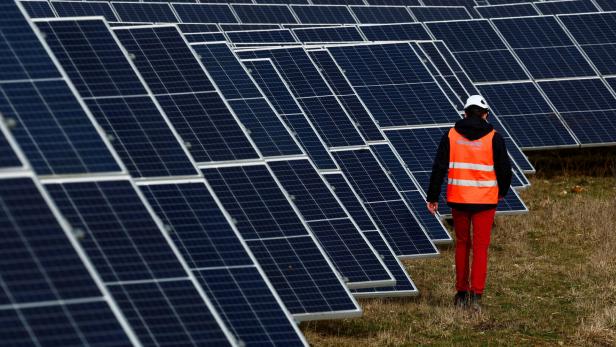 Freiflächen-PV-Anlagen werden in Niederösterreich nicht so gerne gesehen.