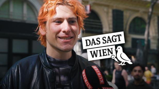 ESC in Wien: Von „Es ist einfach nur Liebe“ bis „Alle Lieder sind furchtbar“ - DAS SAGT WIEN