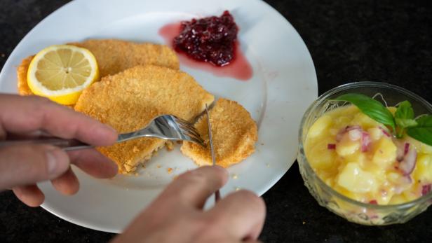 ++ THEMENBILD ++ VEGAN / VEGETARISCH / PFLANZLICH / VEGETARIER / FLEISCHERSATZ / FLEISCHLOS / ERNÄHRUNG