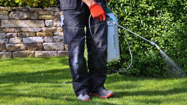 Unkrautvernichtungsmittel werden im Garten versprüht. Dabei wird ein tragbares Sprühgerät eingesetzt, um Unkraut zu bekämpfen