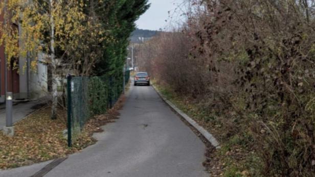 Ein schmaler Weg zwischen Sträuchern 