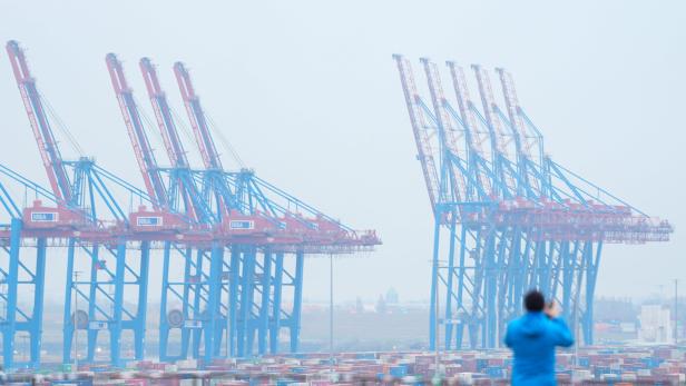 Kräne im Hamburger Hafen