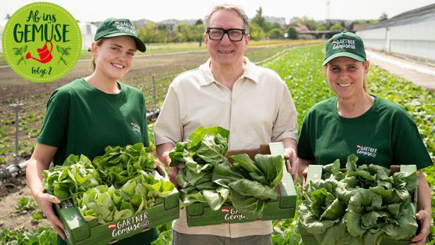 Drei Personen auf einem Feld halten Kisten mit frischem grünem Blattgemüse und tragen grüne T-Shirts und Mützen mit dem Schriftzug 'Gärtner Gemüse'