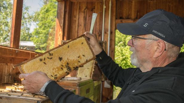 Josef Niklas mit Bienenwabe in der Hand.