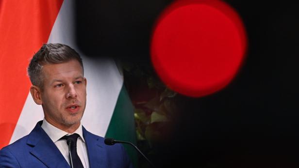 Ein Mann im Anzug spricht am Mikrofon, im Hintergrund sind eine Flagge und ein großer roter Lichtpunkt zu sehen.