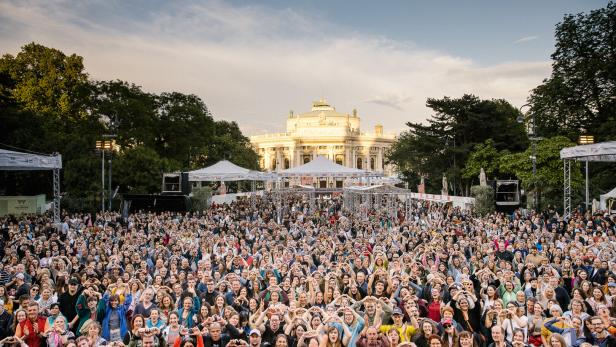 Das Publikum beim Wienliebe Festival