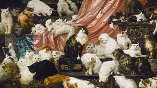 Viele Katzen mit verschiedenem Fell sitzen und liegen dicht beieinander vor einem drapierten, rosa Stoff.