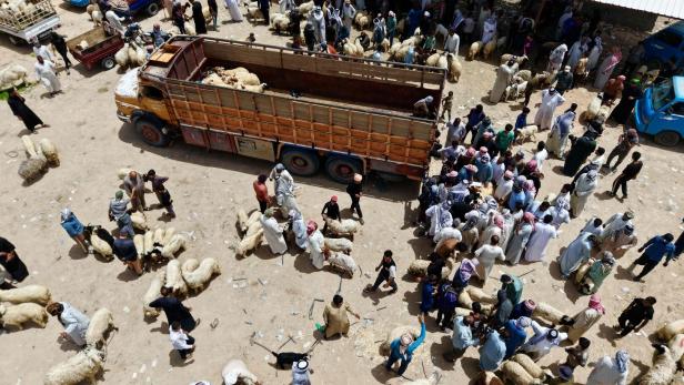 IRAQ-RELIGION-ISLAM-ADHA-ANIMAL-LIVESTOCK