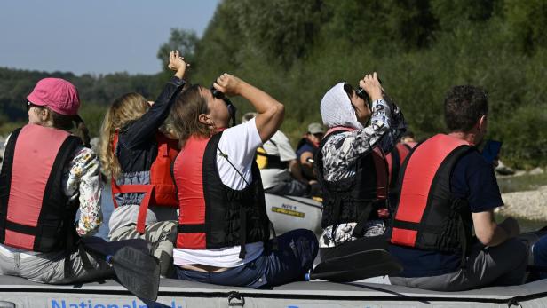 Menschen mit Feldstechern in einem Schlauchboot