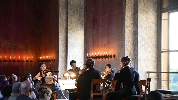 Musiker konzertieren bei Con Anima im Schloss Ernstbrunn