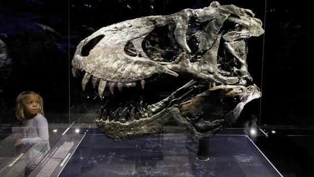 t-rex