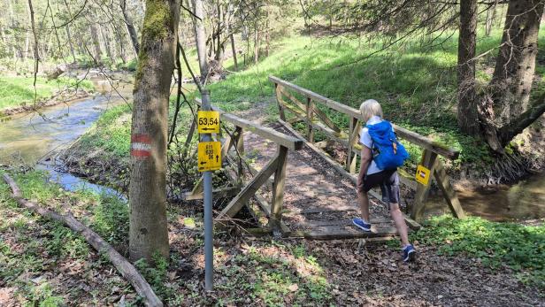 Eine Person mit blauem Rucksack überquert eine kleine Holzbrücke im Wald, neben einem Bach und Wanderwegweisern.