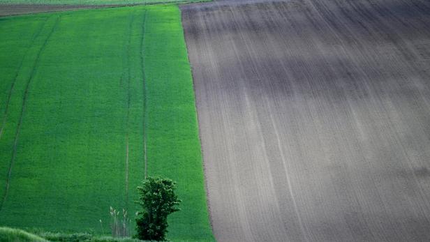 ++ THEMENBILD ++ "UMWELT / KLIMA / BODEN / FLÄCHE / ACKER / WETTER"