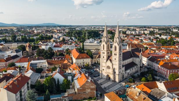 Die Stadt Wiener Neustadt