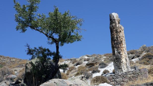 The petrified forest of Lesbos. The island of Lesbos Greece. Mediterranean Sea culture
