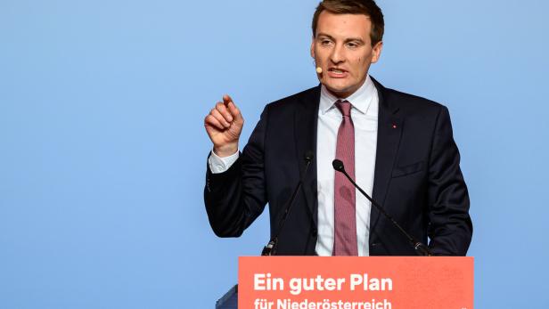 LANDESPARTEITAG SPÖ NIEDERÖSTERREICH: HERGOVICH (SPÖ)