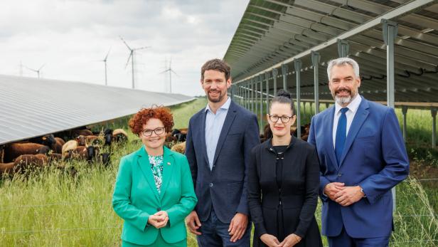 Vier Personen stehen vor Solarmodulen und einer Schafherde, im Hintergrund Windräder.