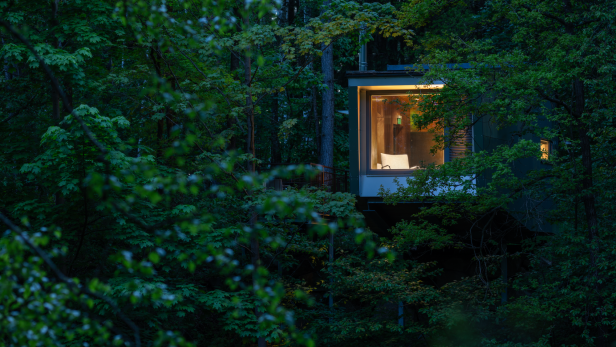 Ein modernes, beleuchtetes Haus mit großem Fenster steht umgeben von dichtem grünen Wald.