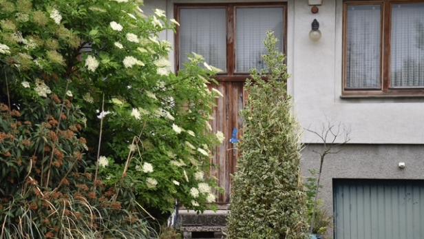 Eine Aufnahme von der Tür eines alten Hauses, im Vordergrund ist ein Hollunderstrauch.
