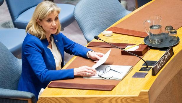 ++ HANDOUT ++ 80. UNO-VOLLVERSAMMLUNG IN NEW YORK: UN-SICHERHEITSRAT / MEINL-REISINGER