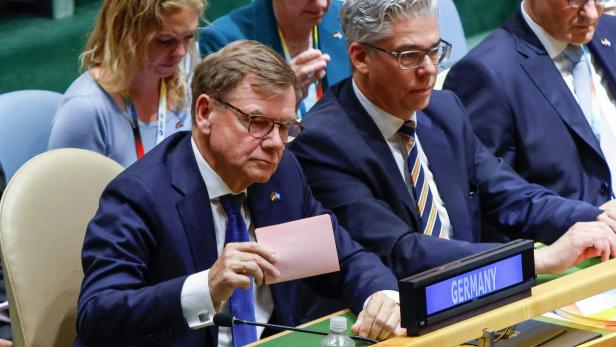 UN-DIPLOMACY-SECURITY COUNCIL