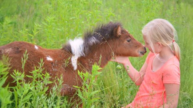 Kind streichelt ein kleines Pony auf einer Wiese.