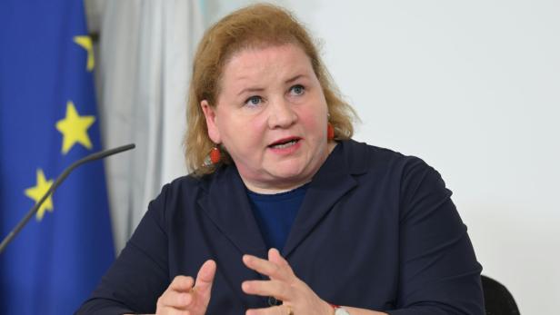 Eine Frau mit blonden Haaren spricht gestikulierend an einem Tisch, im Hintergrund ist eine EU-Flagge zu sehen.