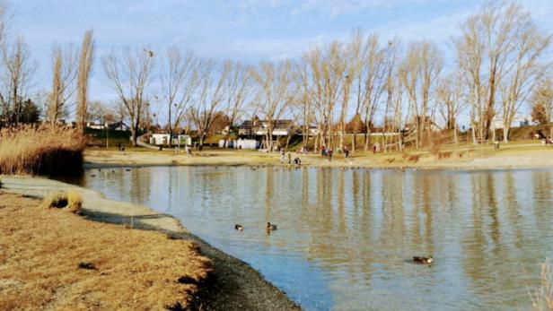 Ein kleiner See mit Enten, umgeben von kahlen Bäumen und Wiese, einige Menschen spazieren am Ufer entlang.