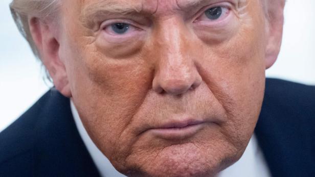 Porträt von Donald Trump