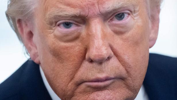 Porträt von Donald Trump