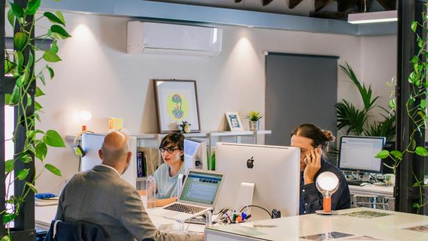 Drei Personen arbeiten an Schreibtischen mit Computern in einem modernen, hellen Büro mit Pflanzen und Dekoration.