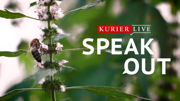 Speak Out mit Biene